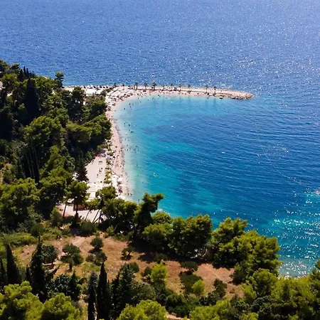 Digital Nomad Friends Apartament